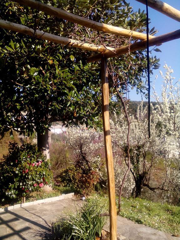 Kalamaki  Nightingale Cottage Pelion מראה חיצוני תמונה