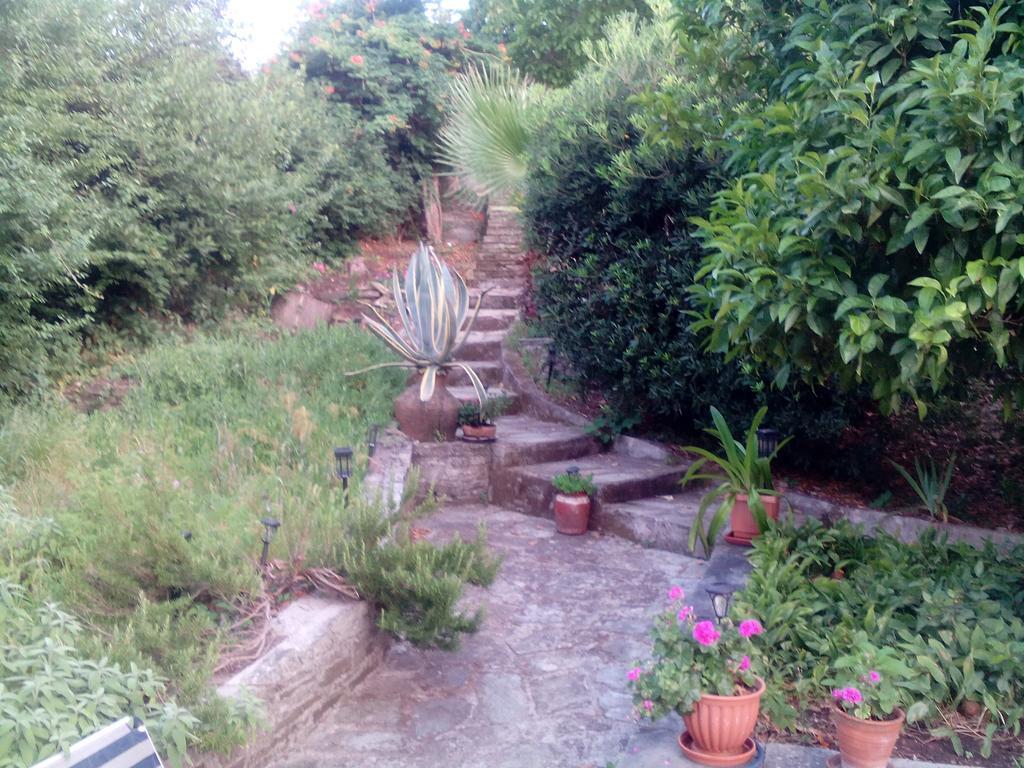 Kalamaki  Nightingale Cottage Pelion מראה חיצוני תמונה