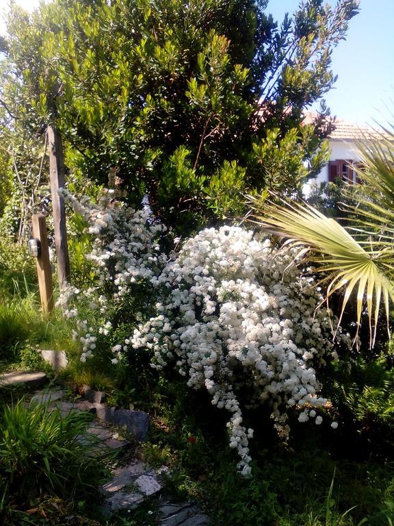 Kalamaki  Nightingale Cottage Pelion מראה חיצוני תמונה