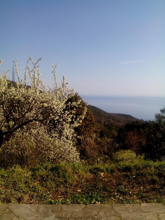 Kalamaki  Nightingale Cottage Pelion מראה חיצוני תמונה