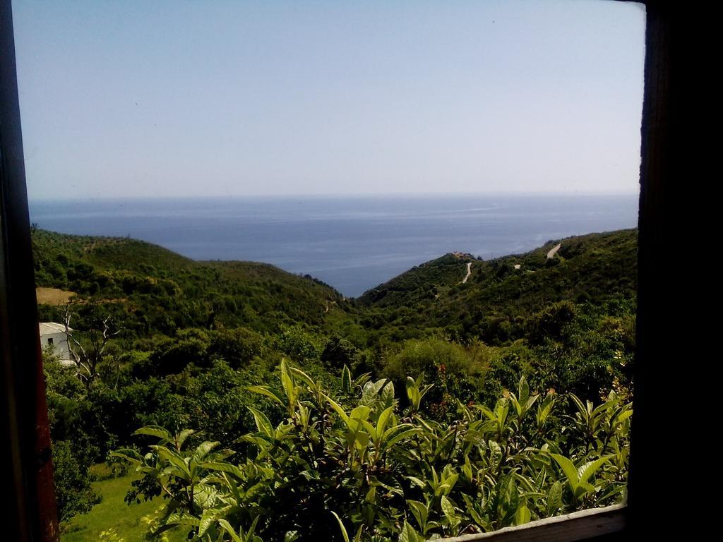 Kalamaki  Nightingale Cottage Pelion מראה חיצוני תמונה