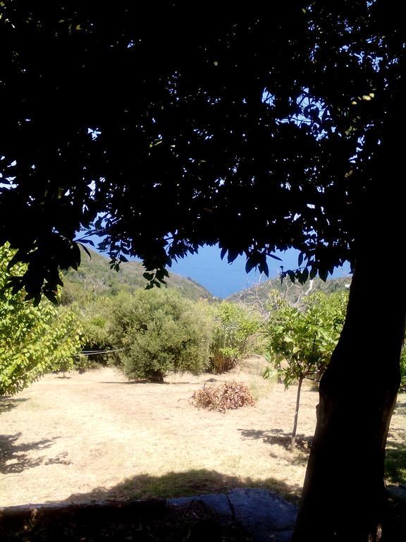 Kalamaki  Nightingale Cottage Pelion מראה חיצוני תמונה