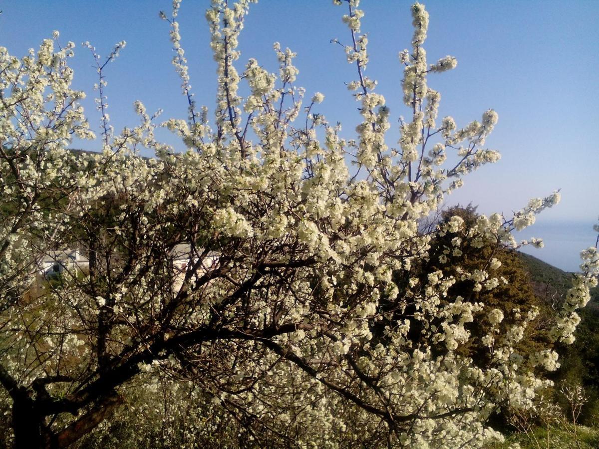 Kalamaki  Nightingale Cottage Pelion מראה חיצוני תמונה