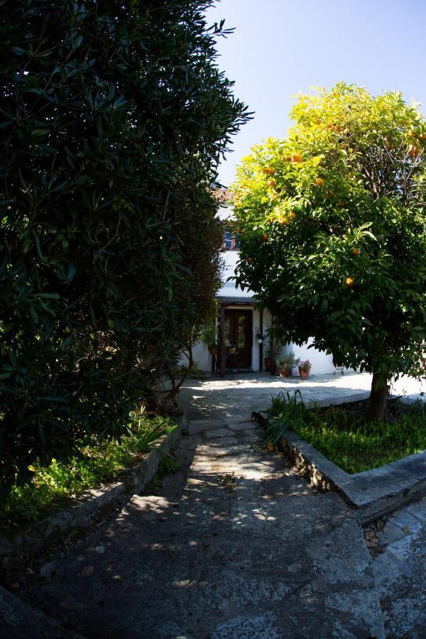Kalamaki  Nightingale Cottage Pelion מראה חיצוני תמונה